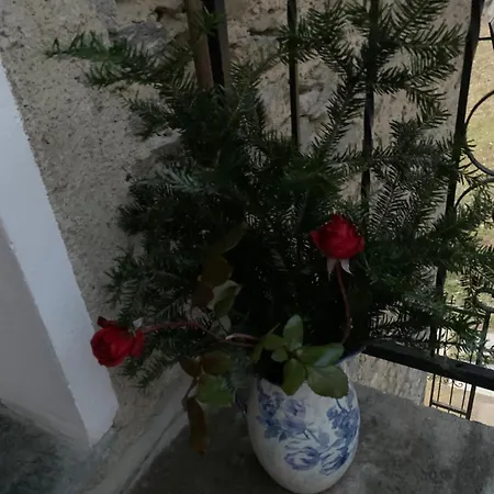 Casa Placida *